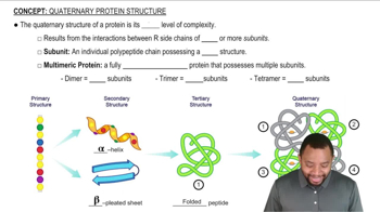 Quaternary Protein Structure Concept 1