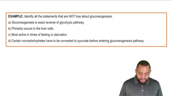 Intro to Gluconeogenesis Example 1