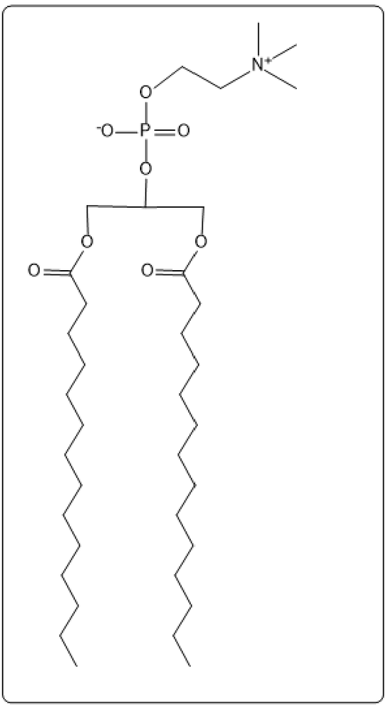 Another view of a glycerophospholipid structure with glycerol, two myristic acids, phosphate, and choline.