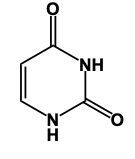 Another representation of cytosine's chemical structure with nitrogen and oxygen atoms.