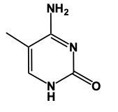 Alternative structure of cytosine showing its nitrogen and oxygen components.