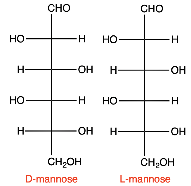 Fischer projections of D-mannose and L-mannose for carbohydrates chapter.