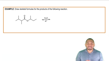 Acid-Catalyzed Ester Hydrolysis Example 1