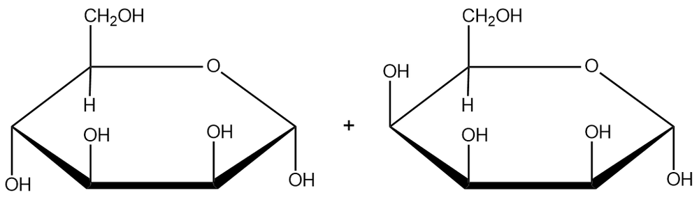 Disaccharide structure with β(1→4) glycosidic bond and monosaccharides.