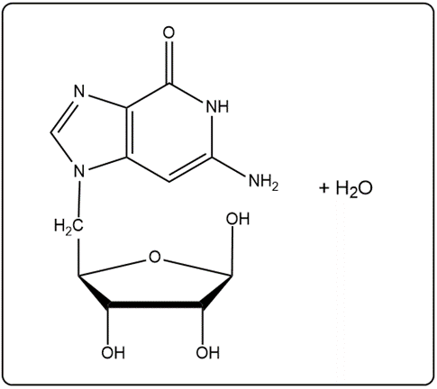 Diagram depicting nucleoside and nucleotide formation with water as a byproduct.