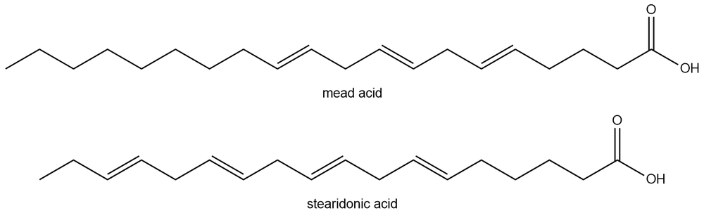 Skeletal structures of mead acid and stearidonic acid for fatty acid study.