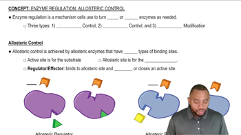 Allosteric Control Concept 1