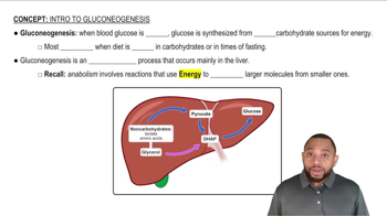 Intro to Gluconeogenesis Concept 1