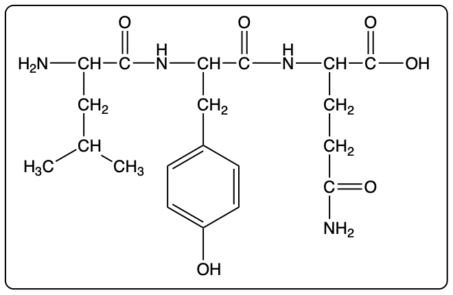 Condensed structural formula for the tripeptide Val-Tyr-Glu in an educational context.