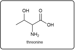 Chemical structure of threonine, represented by the letter T.