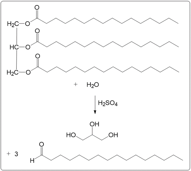 Chemical reaction for acid hydrolysis of glyceryl tripalmitate with water and sulfuric acid.