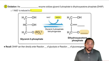 Glycerol Metabolism Concept 4