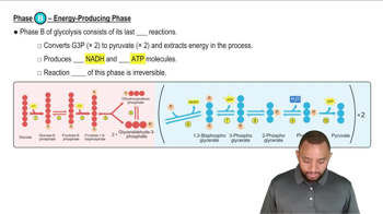 Glycolysis Concept 6