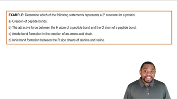 Secondary Protein Structure Example 2