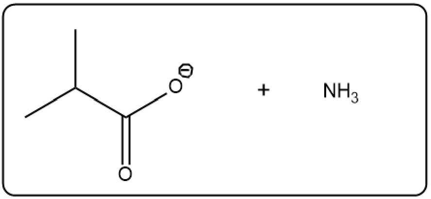 Hydrolysis of isobutyramide yielding isobutyric acid and ammonia.