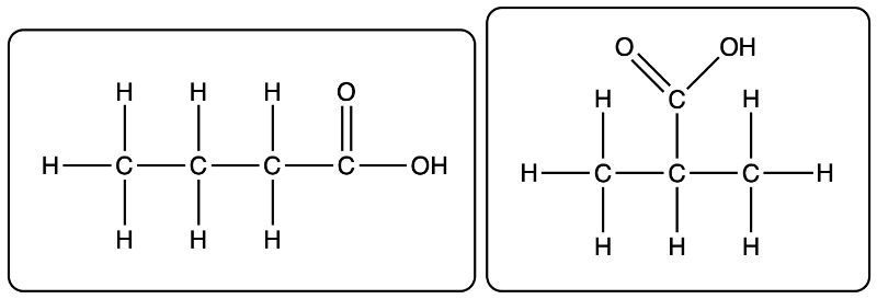 Structures of carboxylic acids with formula C4H8O2, showing different arrangements of atoms.