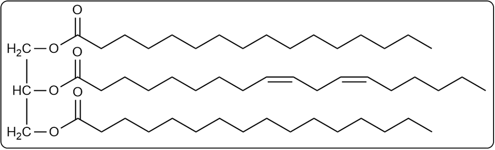 Chemical structure of glycerophospholipids, relevant to lipids in Chapter 23 of the gob course.