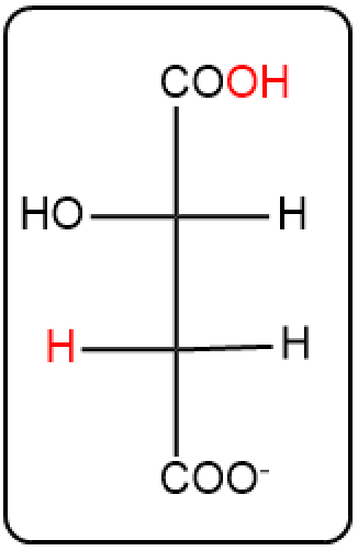 Structure of a product in the citric acid cycle, highlighting water atoms in step 7.