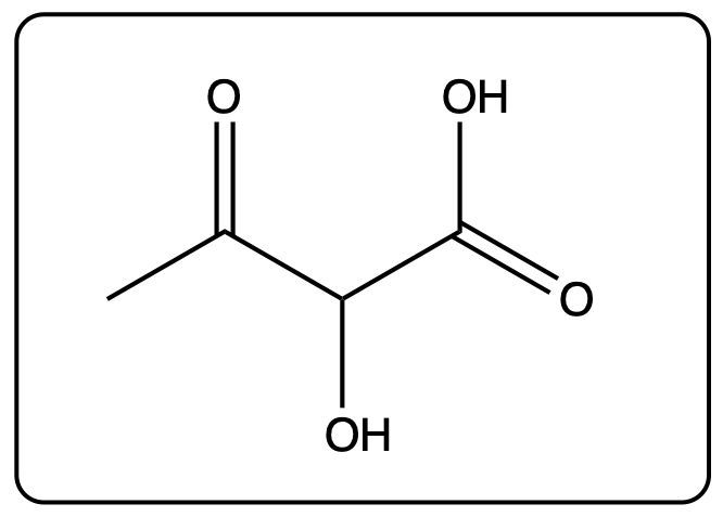 Structure of a carboxylic acid with two hydroxyl groups and a carbonyl group.