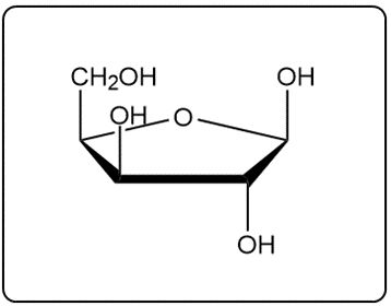 Cyclic furanose structure of ß-D-xylofuranose with hydroxyl groups.