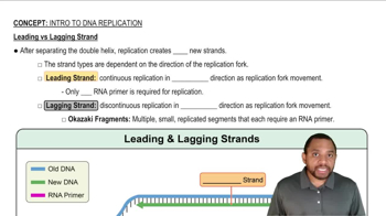 Intro to DNA Replication Concept 4