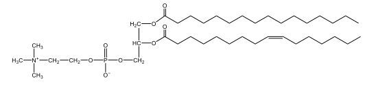 lecithin