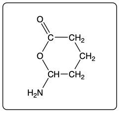 Lactone structure showing a cyclic arrangement of atoms with an amine group.