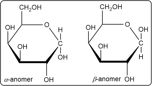 Cyclic hemiacetal forms of D-galactose: α-anomer on the left, β-anomer on the right.