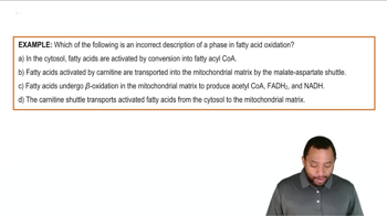 Intro to Fatty Acid Oxidation Example 2