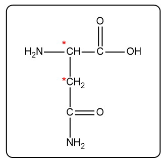 Structure of asparagine with two asterisks marking possible chiral carbons.