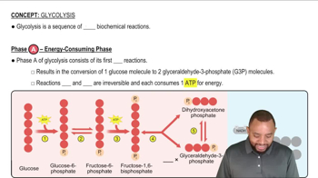 Glycolysis Concept 1