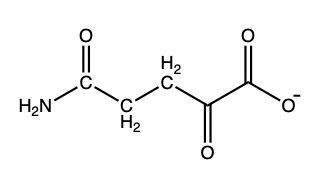 α-keto acid