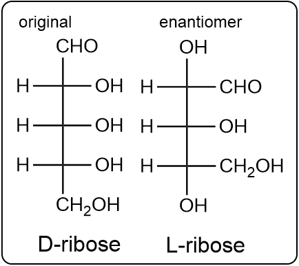 Comparison of D-ribose and its enantiomer L-ribose structures.