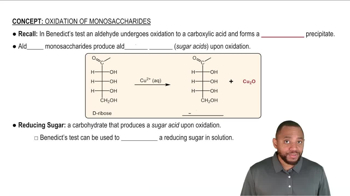 Oxidation of Monosaccharides Concept 1