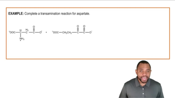 Amino Acid Catabolism: Amino Group Example 1