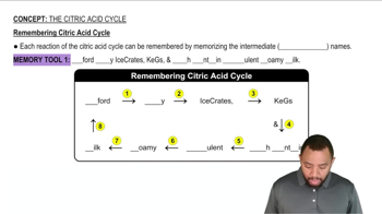 Remembering Citric Acid Cycle Concept 15