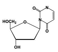 nucleoside