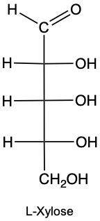 L-Xylose