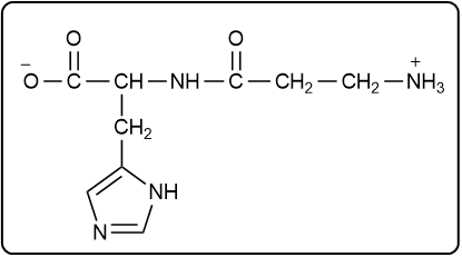 Structure of carnosine with C-terminal amino acid on the right.