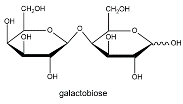 Chemical structure of galactobiose, a disaccharide relevant to reducing sugar discussion.