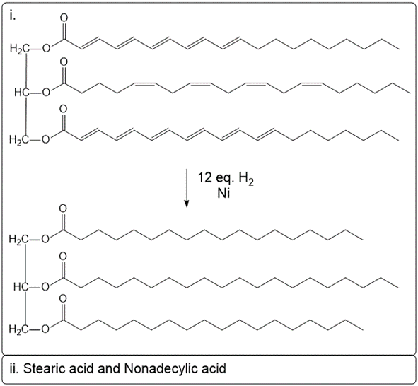 Hydrogenation reaction of stearic acid and nonadecylic acid with 12 eq. H2 and Ni.