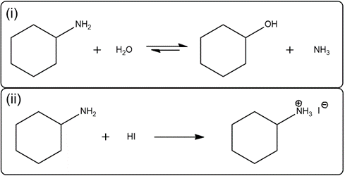 Chemical equations for cyclohexanamine reactions with water and HI.