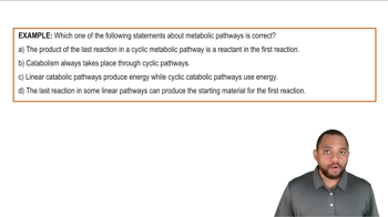 Metabolic Pathways Example 2