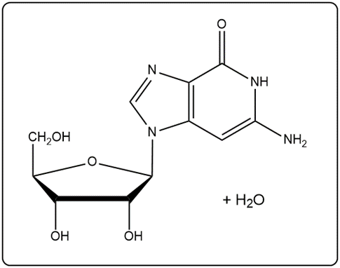 Image illustrating nucleoside and nucleotide formation with water as a product.