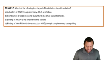 Translation: Protein Synthesis Example 1