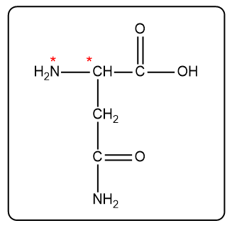 Structure of asparagine with two asterisks marking possible chiral carbons.