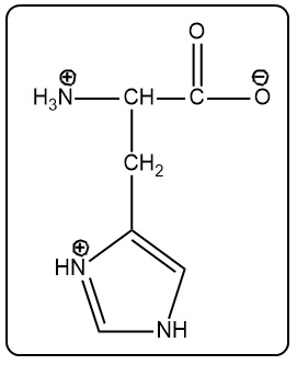 Structure of histidine with a positive charge on the amino group and a neutral imidazole ring.