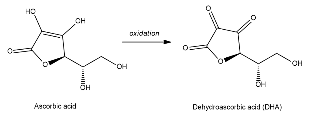 Chemical structure of ascorbic acid and its oxidized form, dehydroascorbic acid.