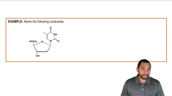 Naming Nucleosides and Nucleotides Example 