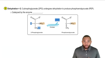 Glycolysis Concept 10